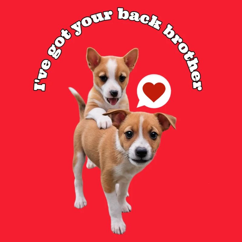 Podengo – ich stehe hinter dir.