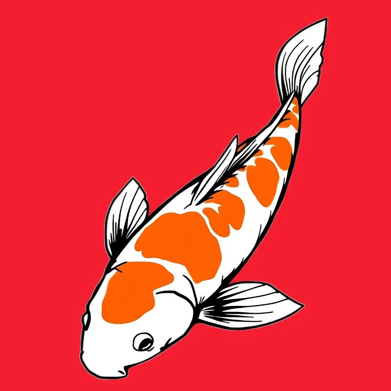 Koi Fish