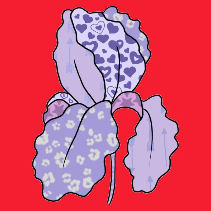 Bunte_Iris