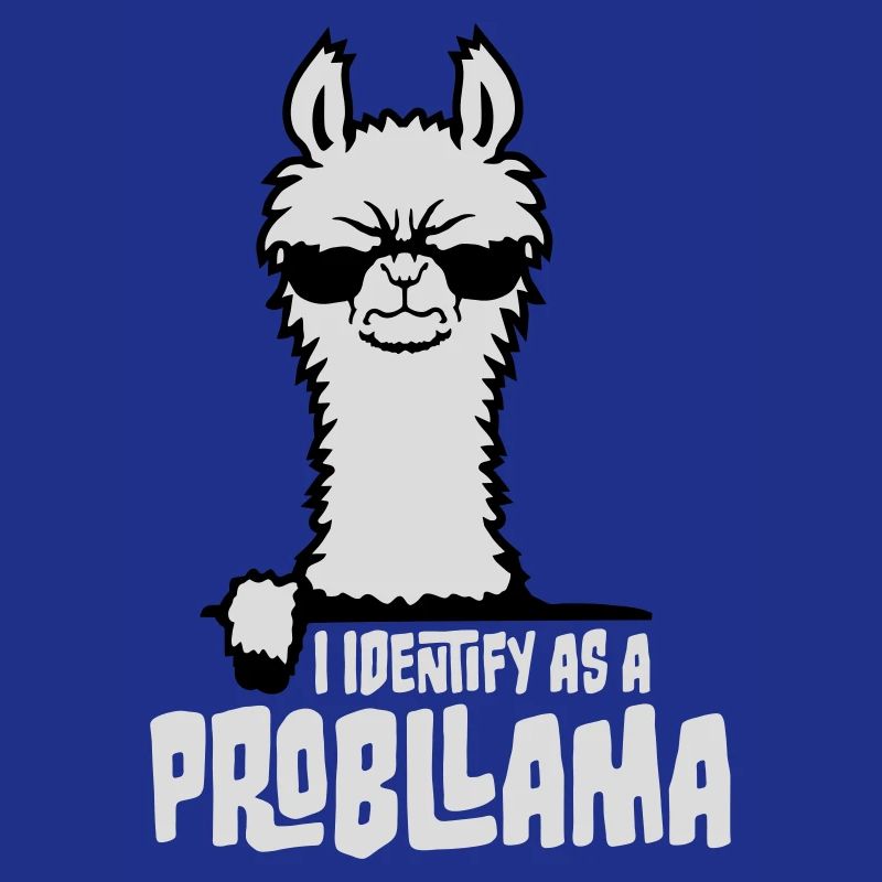 Je m’identifie comme un probllama Cool Lama Problem Spruch