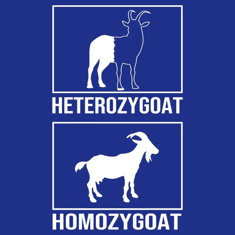Molecule Structural Formula