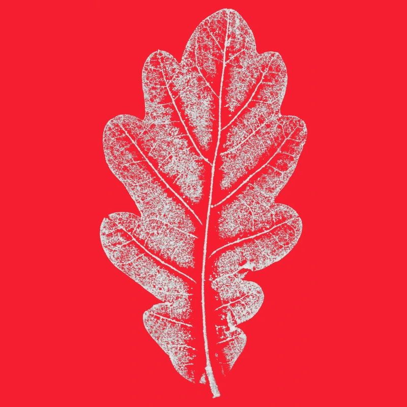 Blatt EICHE / Eichenblatt WEISS