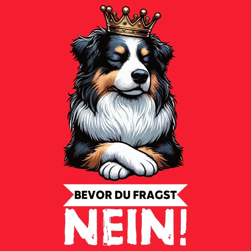 Before you ask: Australian Shepherd Aussie Aussie