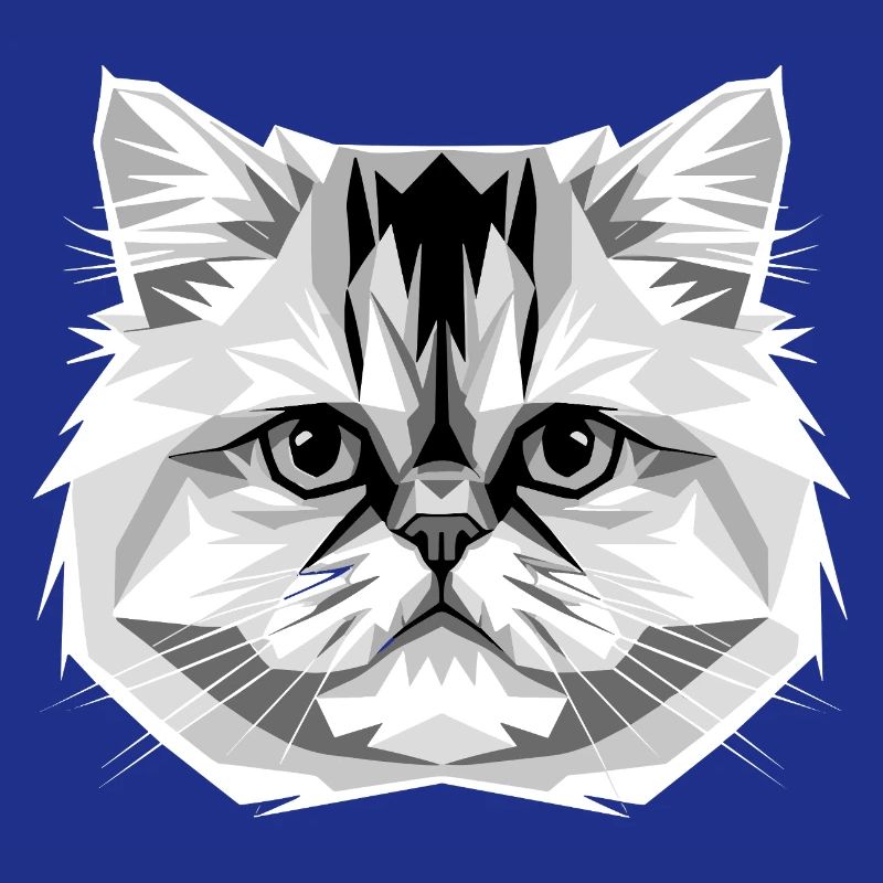 Chat perse Chat persan Chat persan Chat perse Chats mignons