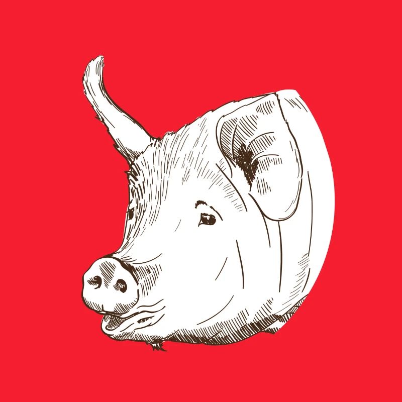 Pig