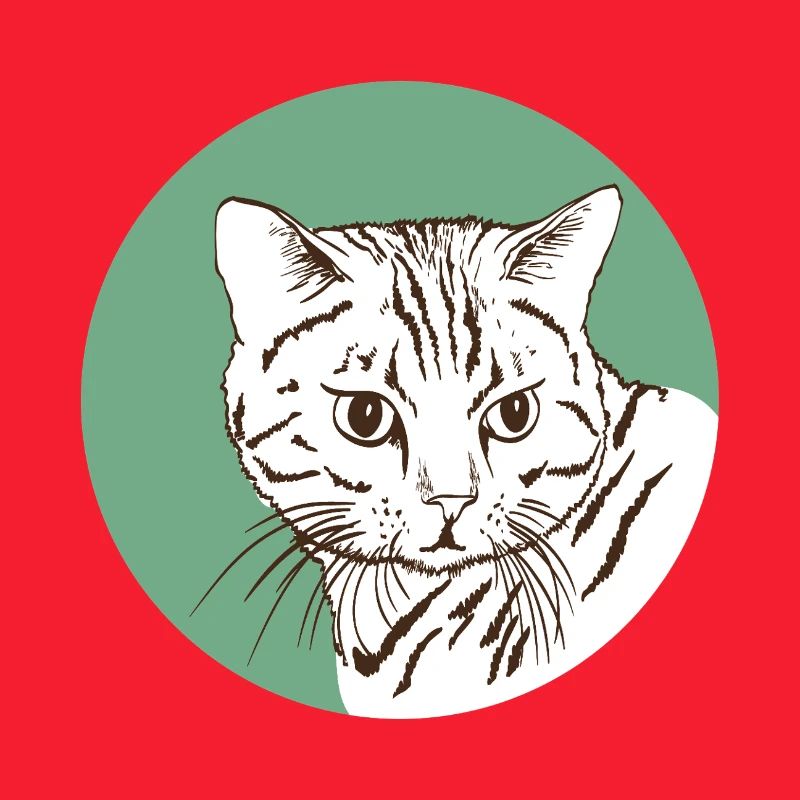 Chat