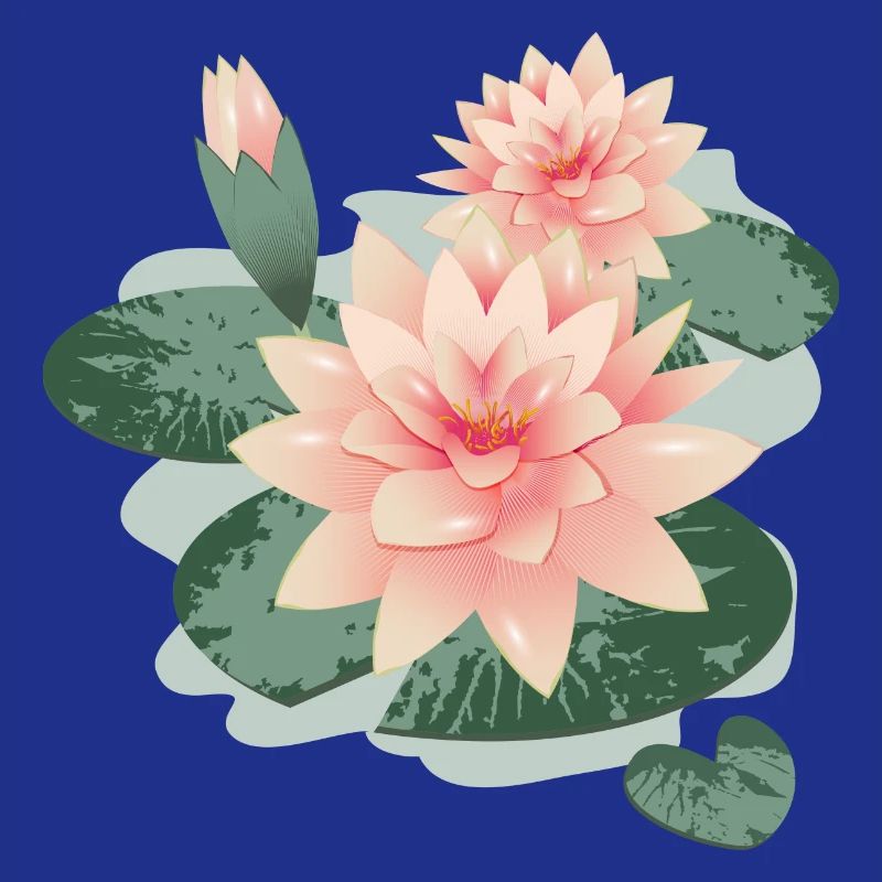 Fleurs de nénuphars avec bourgeon dans l’étang de nénuphars