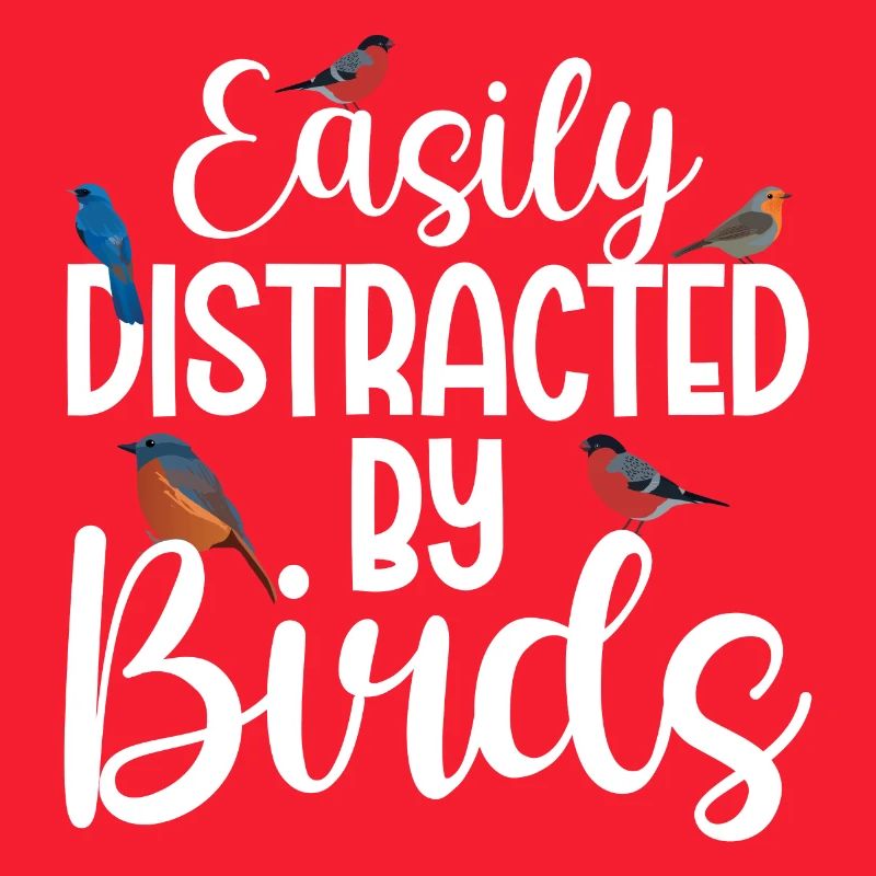 Facilement distrait par les oiseaux