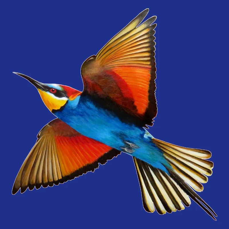 Guêpier Oiseau