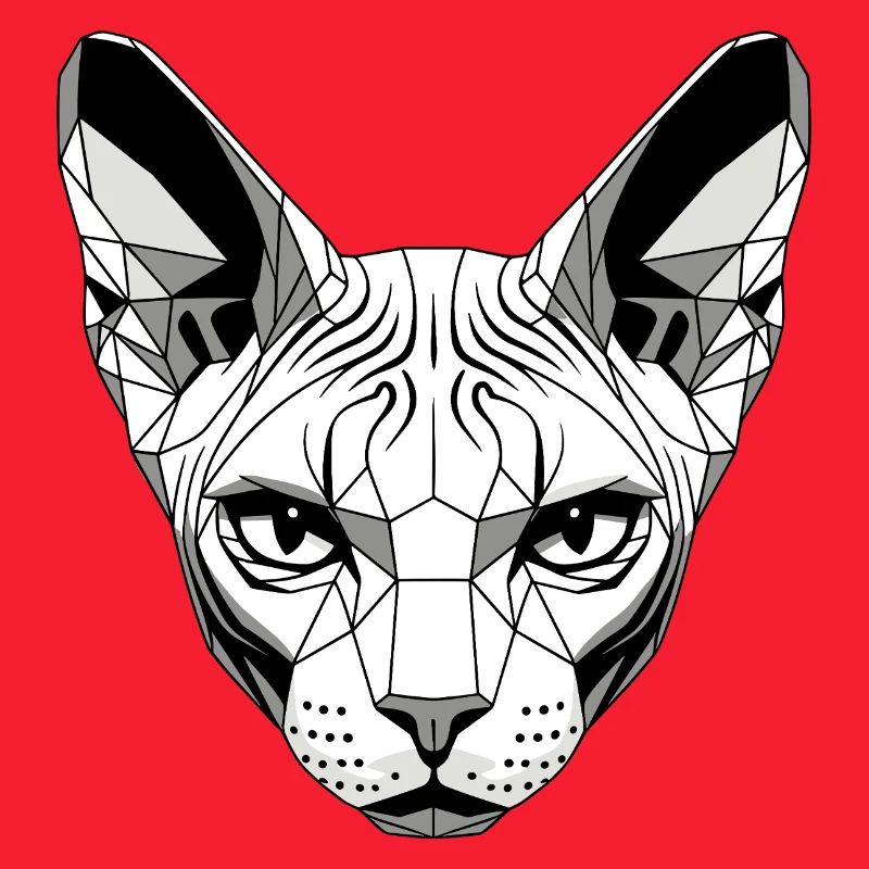 Sphynx Chat Sphynx Chat Chat Canadien Sphinx mignon