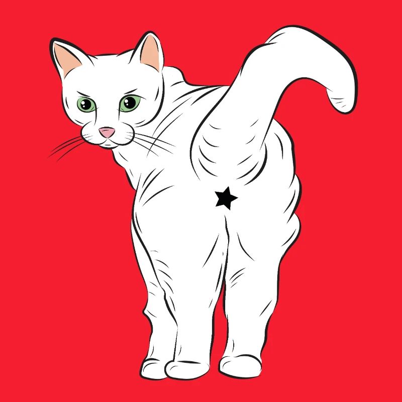 Chat blanc avec logo étoile