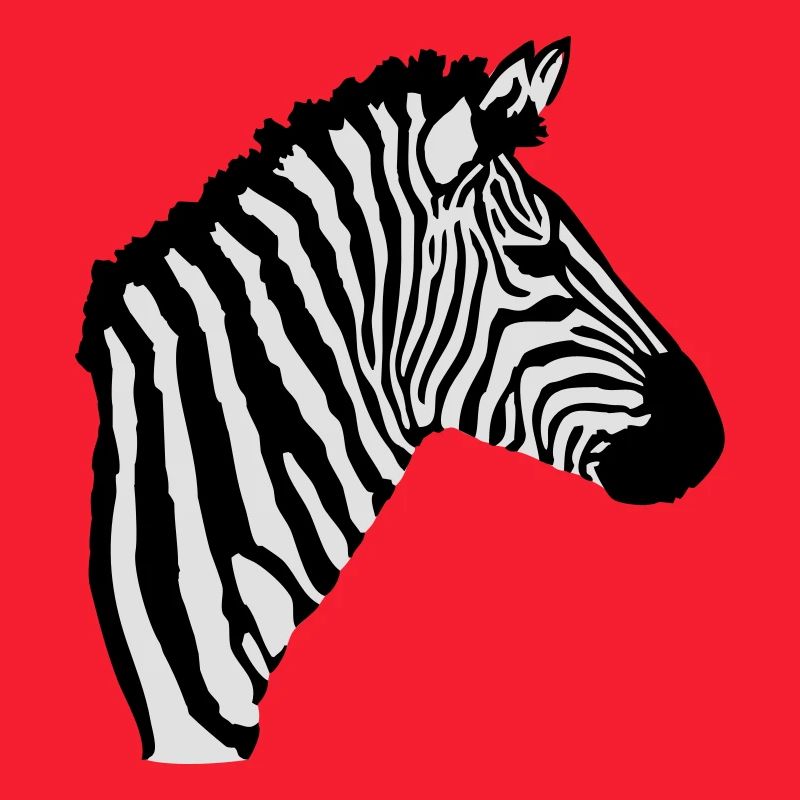 Zebra Kopf