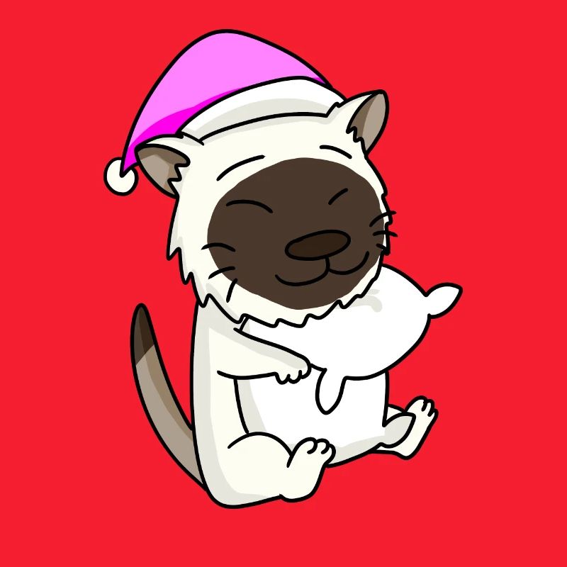 Katze Katzenrasse Birma