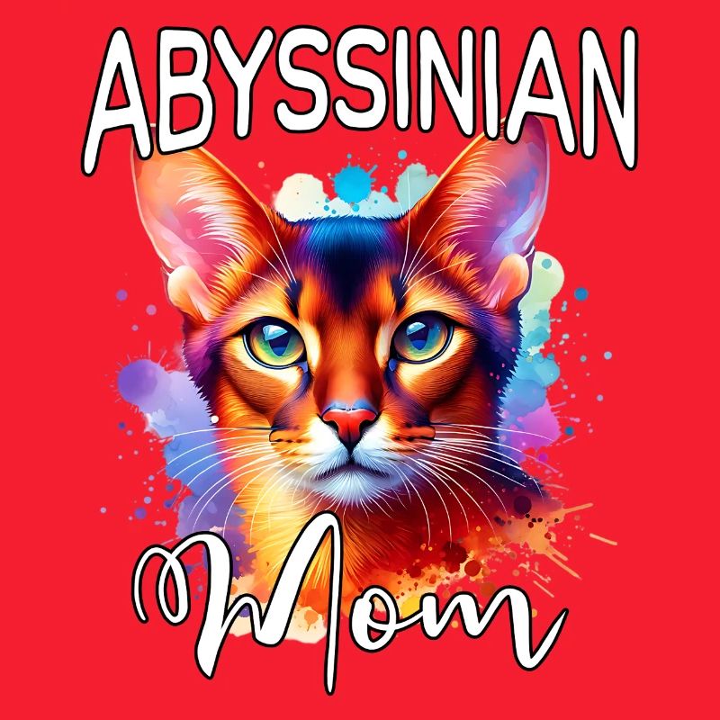 Maman chatte abyssinienne