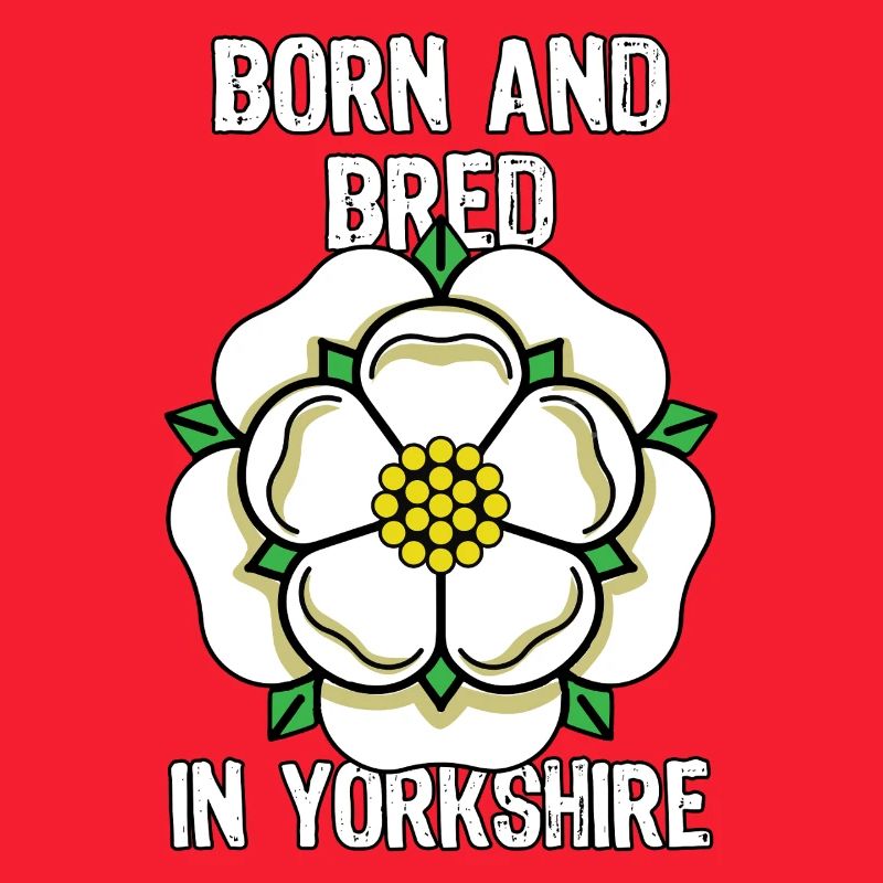 Dans le comté du Yorkshire, fière fleur du drapeau du Yorkshire