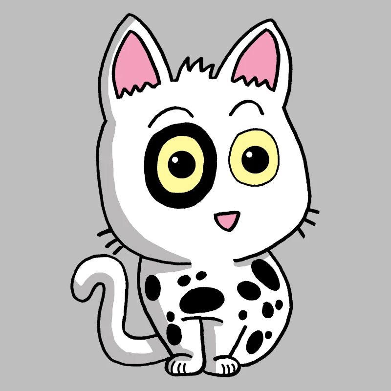 Chaton noir et blanc