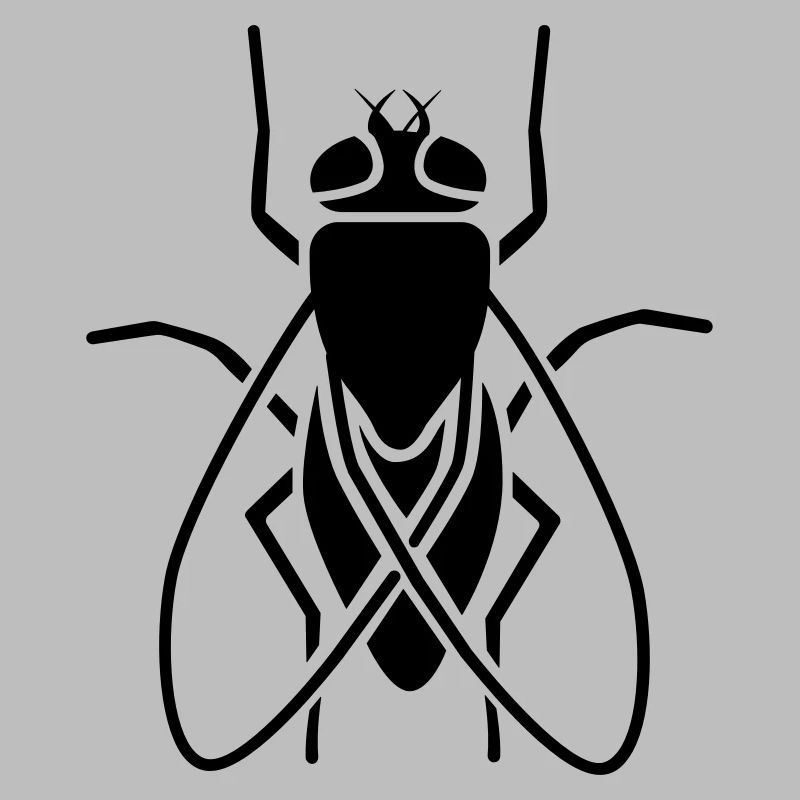 Insectes - Fly