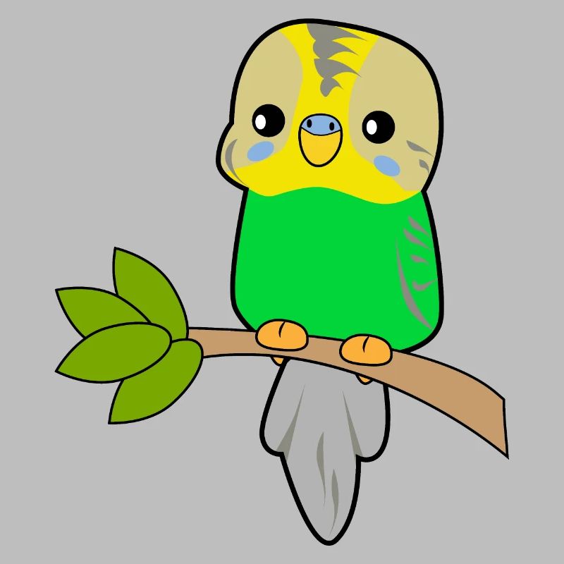 Budgerigar Parrot