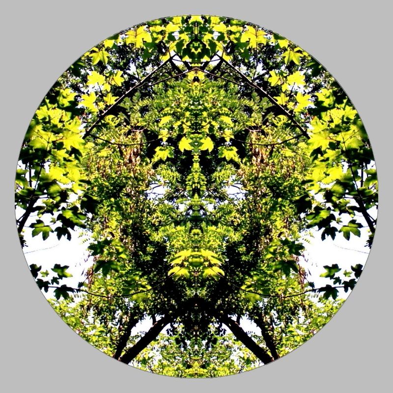 Tree Nature Creature