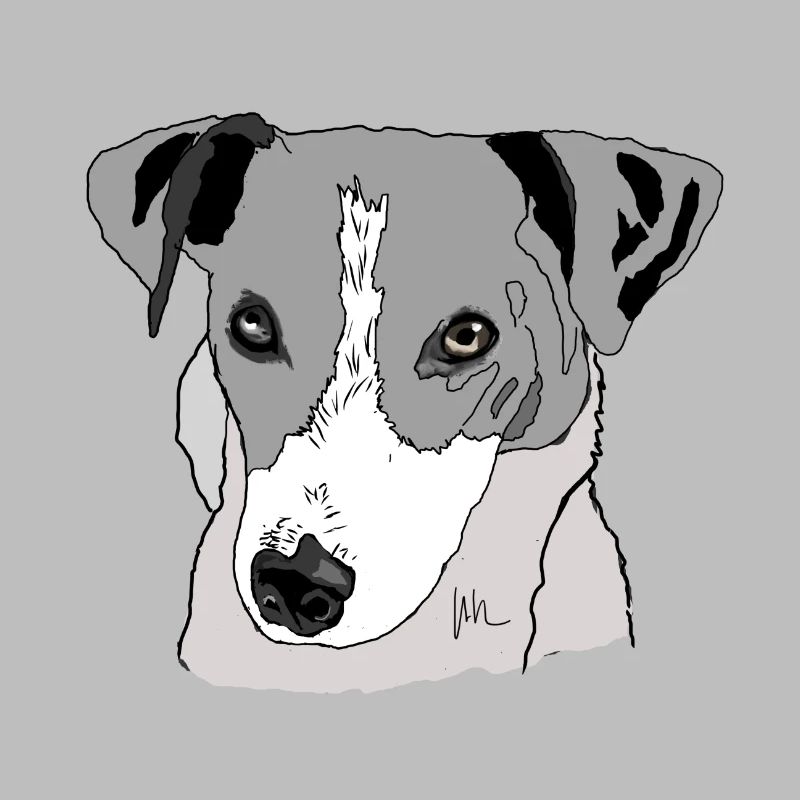 Jack Russel Terrier