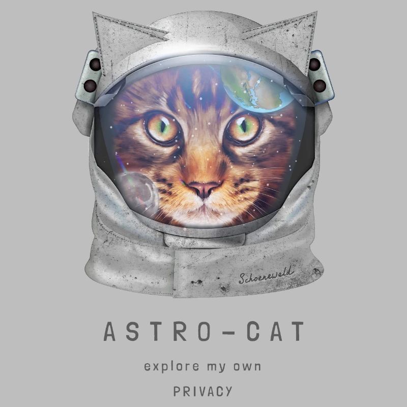 | de chat de l’espace Chat astronaute dans l’espace