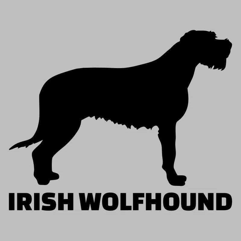 Irischer Wolfshund