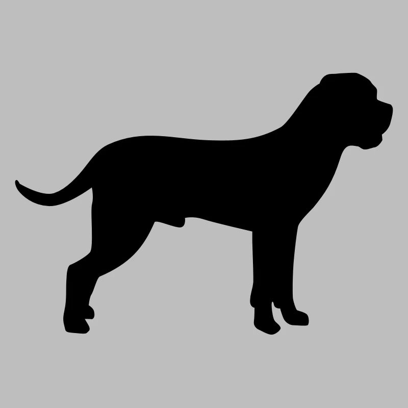 Cane Corso