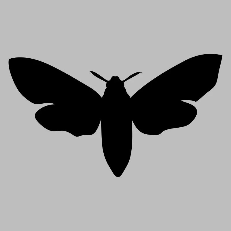 moth