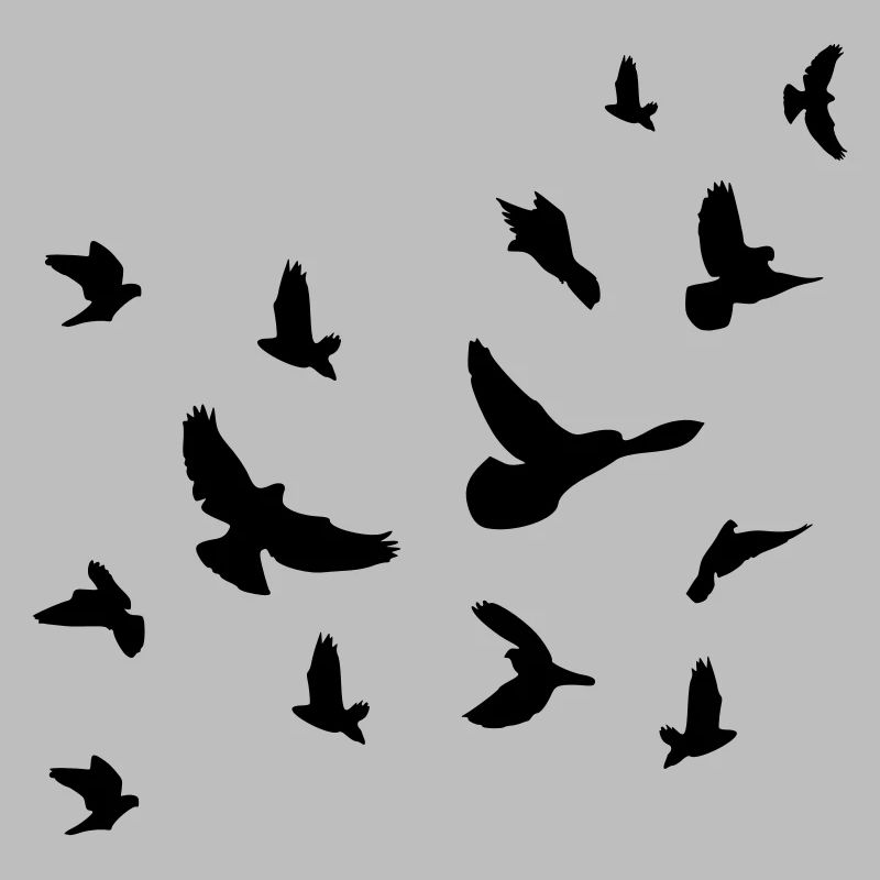 Oiseaux