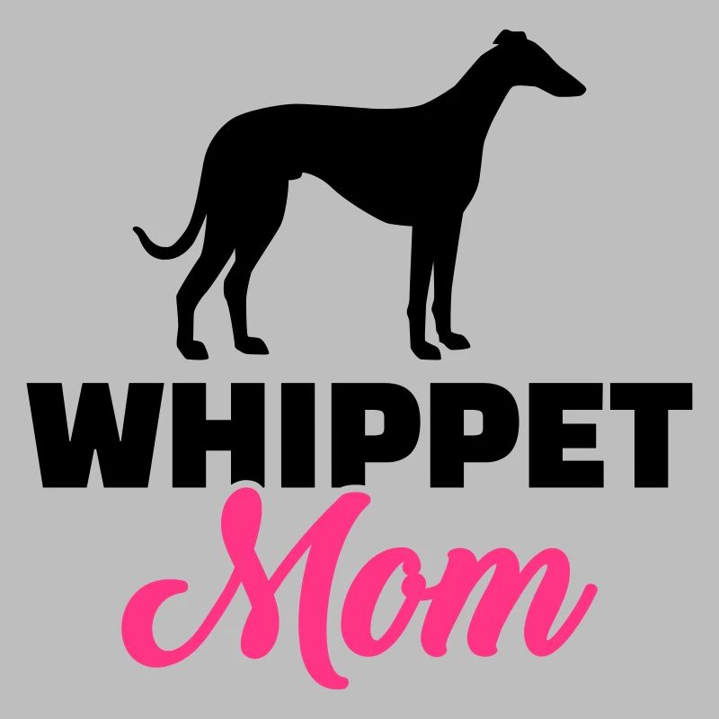 Whippet