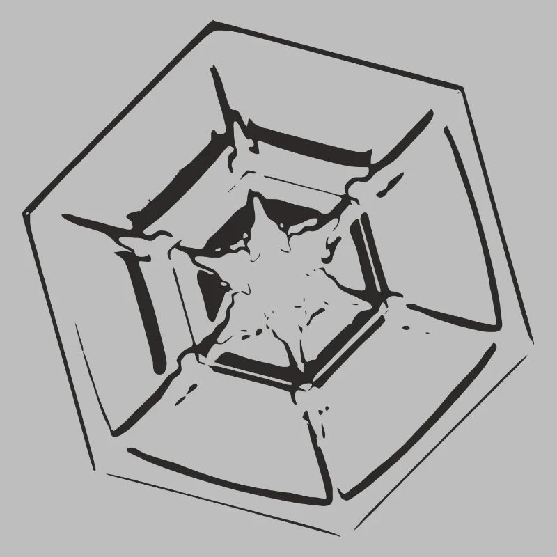 snowflake 4 black
