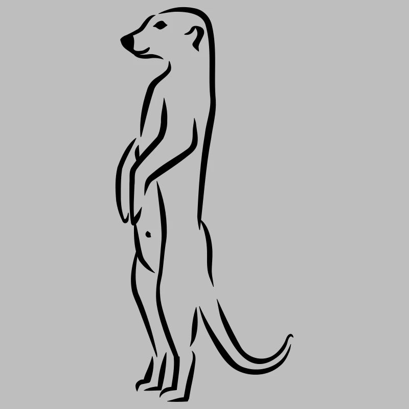 Erdmännchen