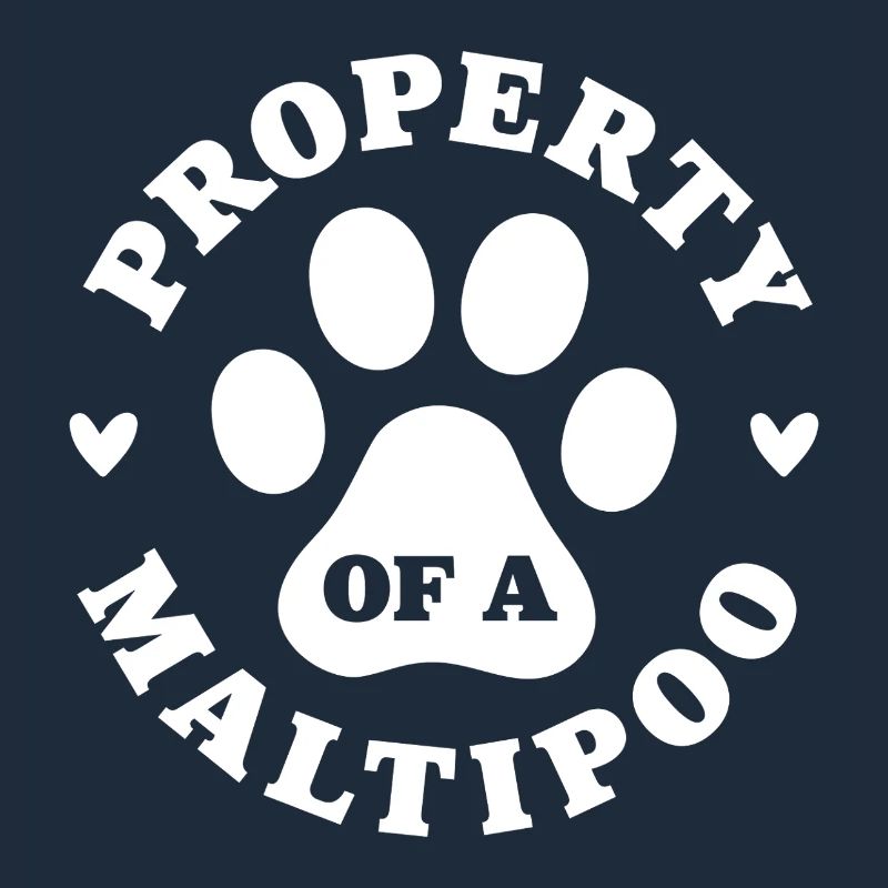 Eigentum eines Maltipoo