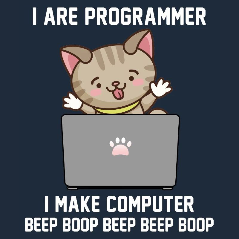 Programmierer