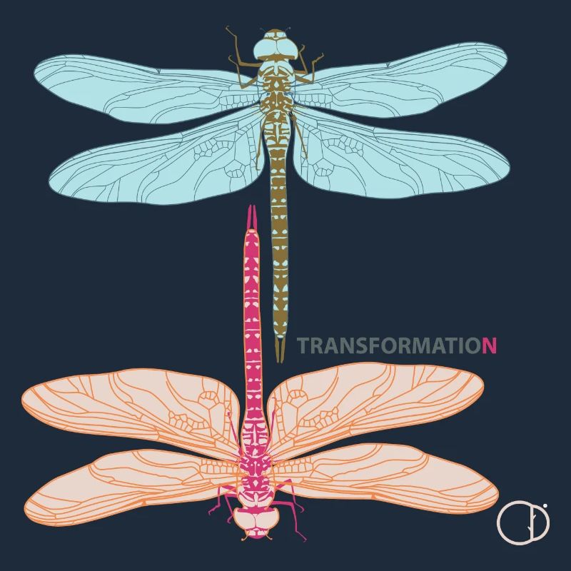 Libellen und Transformation by CD