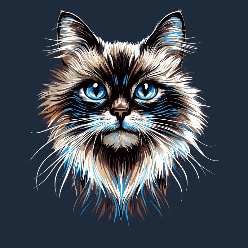 Ragdoll Katze Ragdollkatze Cat Süße Ragdoll Katzen