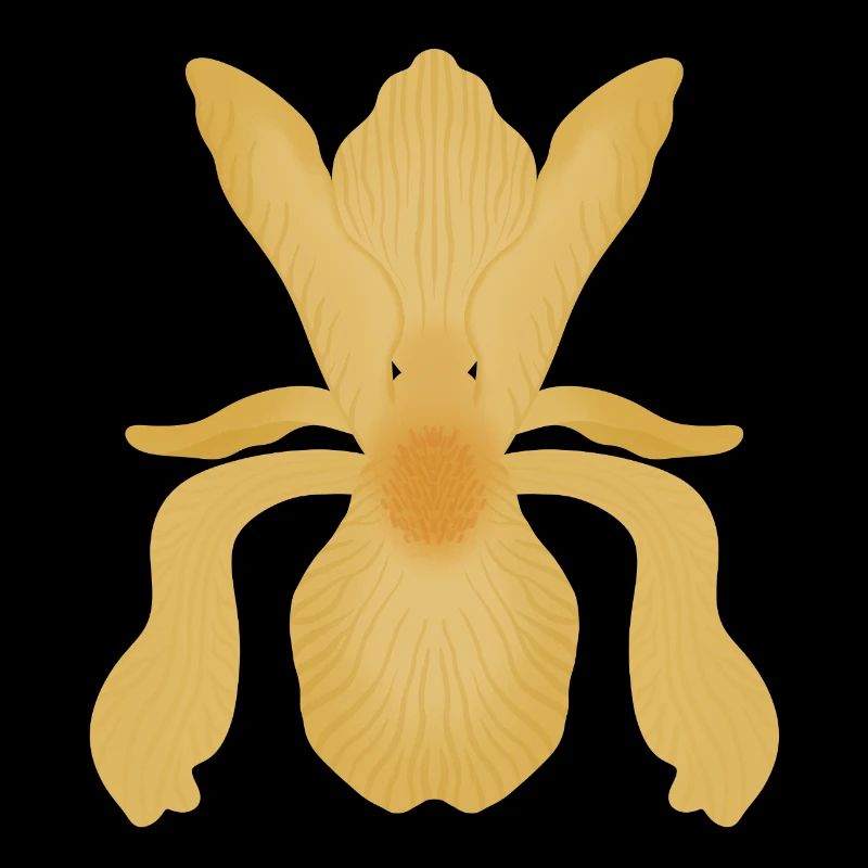 Floraison d’Iris doré