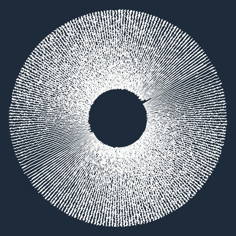 Iris Ringburst Radial Pattern