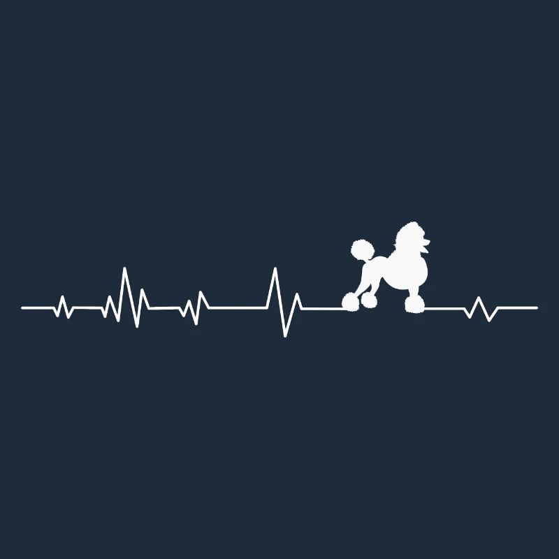 Caniche pour chien
