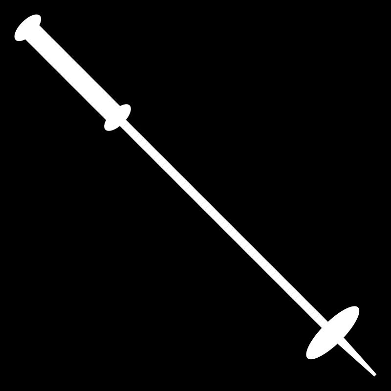 Bâton de ski