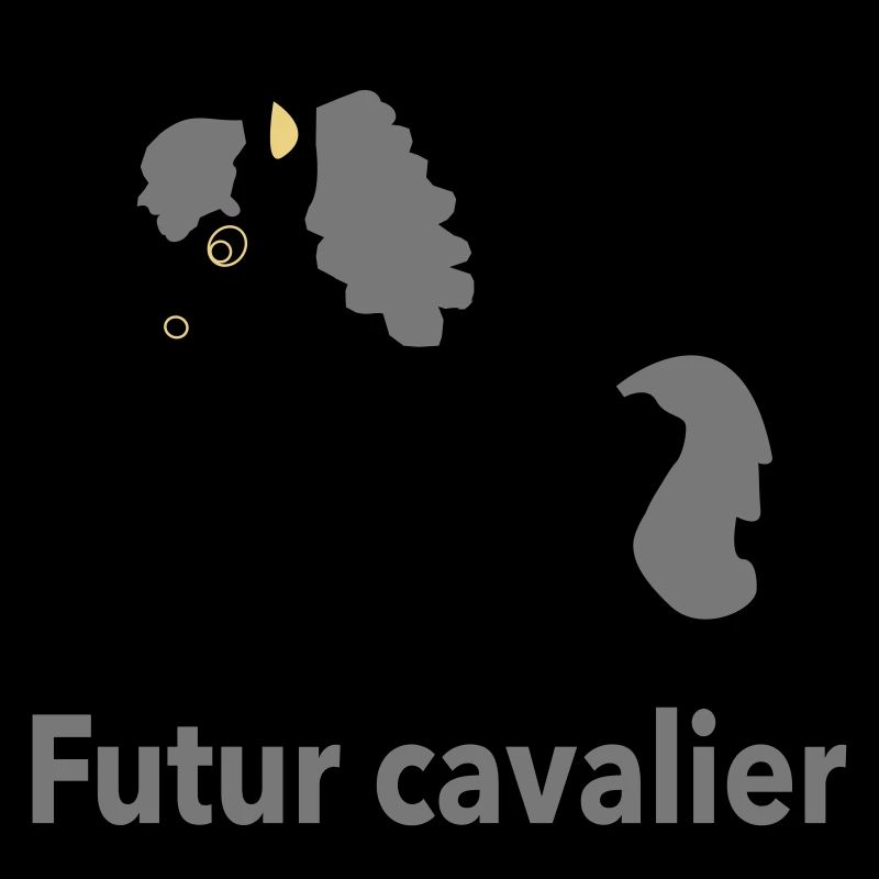 bb cavalier