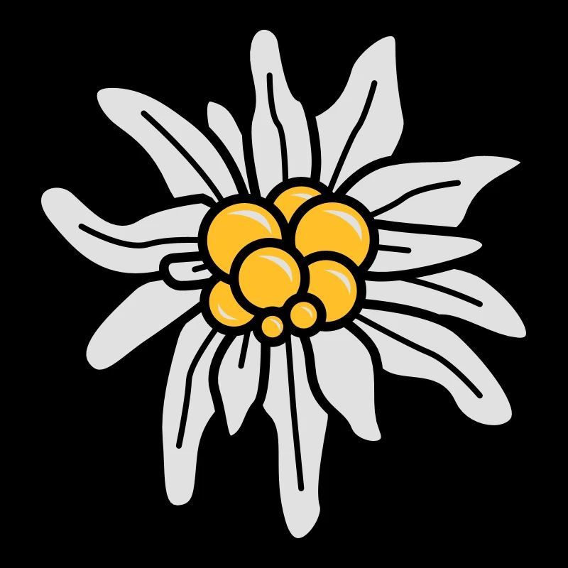 Edelweiss