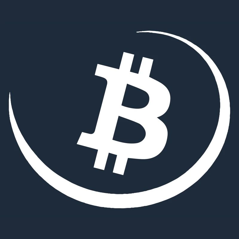Bitcoin to the moon