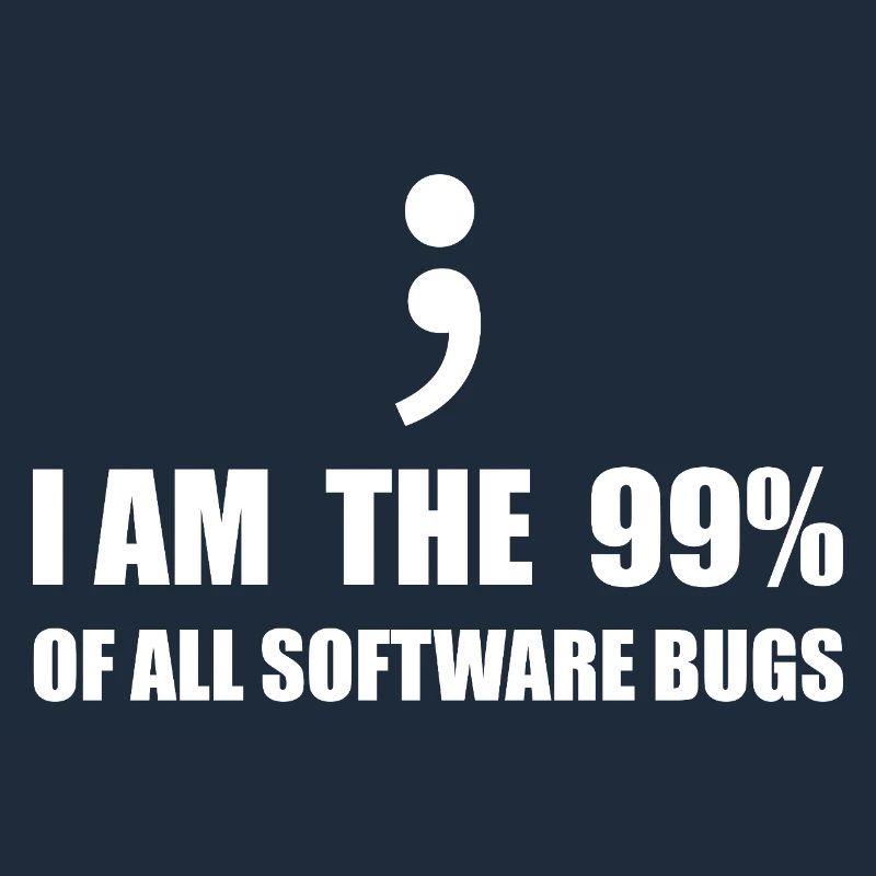 Informatiker, Programmierer