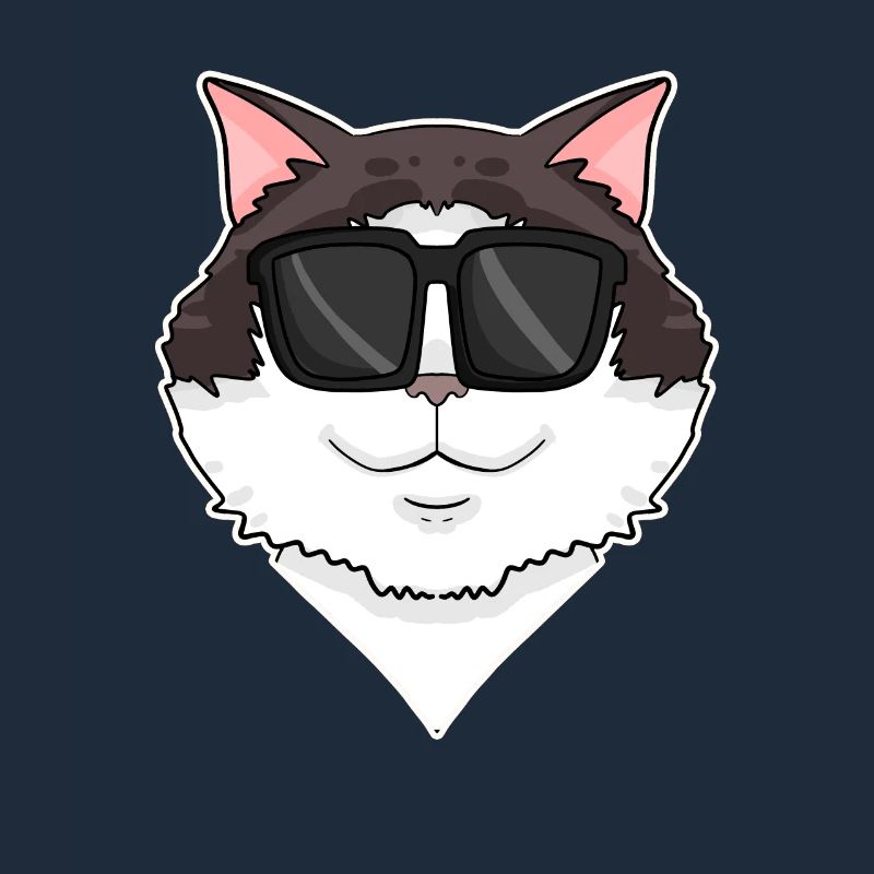 Ragdoll Cat