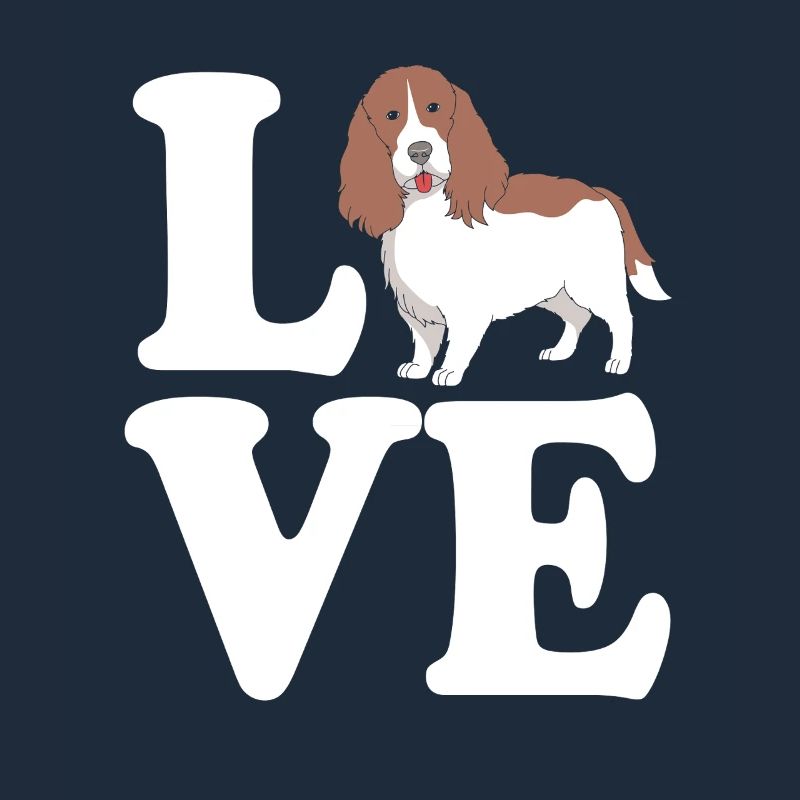 Springer Spaniel Hund