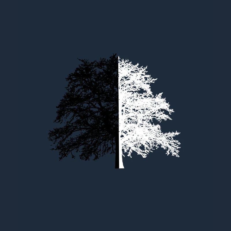 Tree Tree Black White Illusion