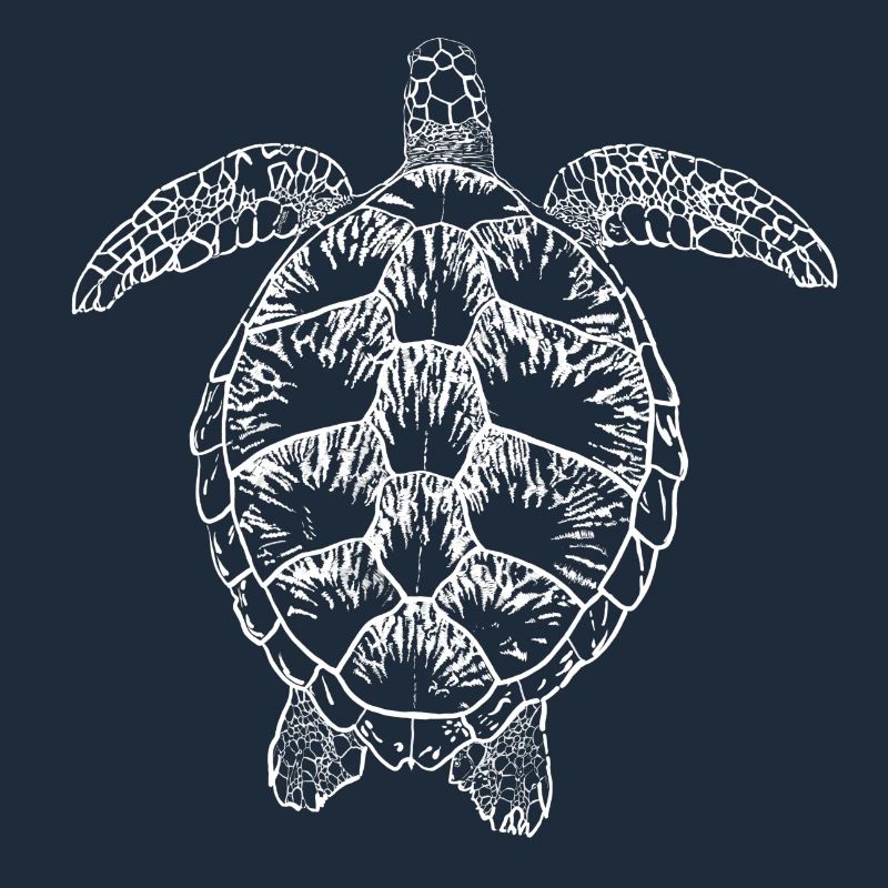 Turtle white2