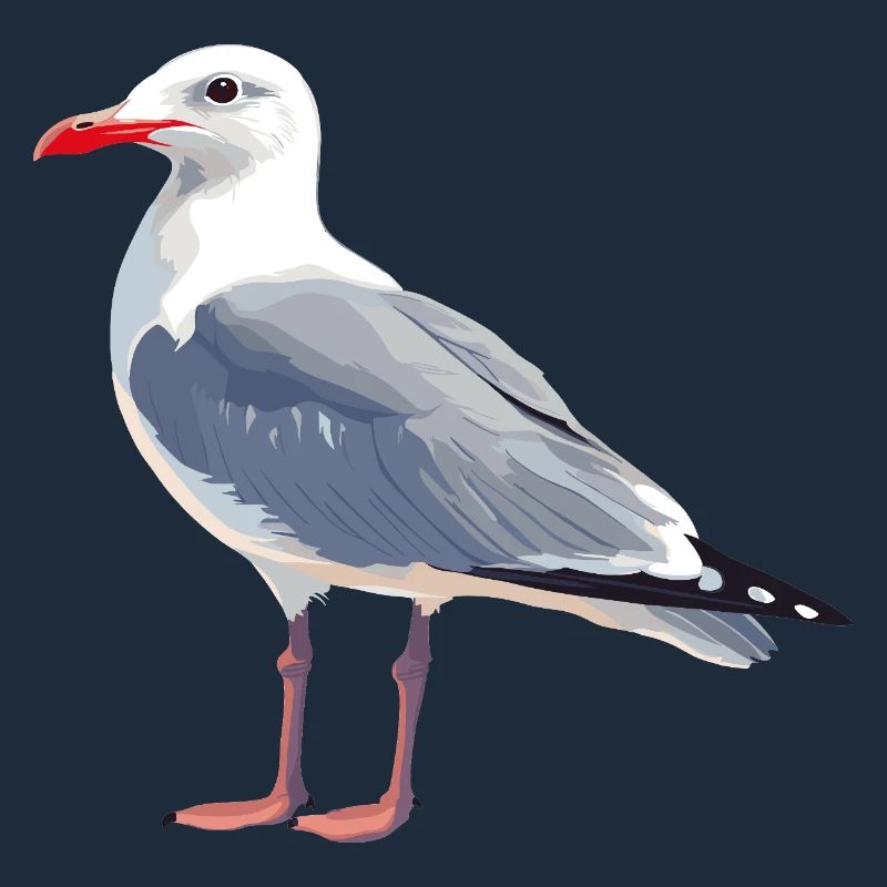 Seagull