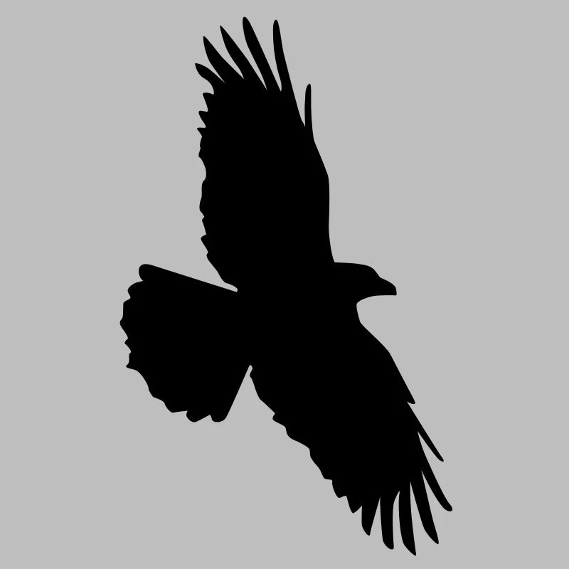 Rabenflug